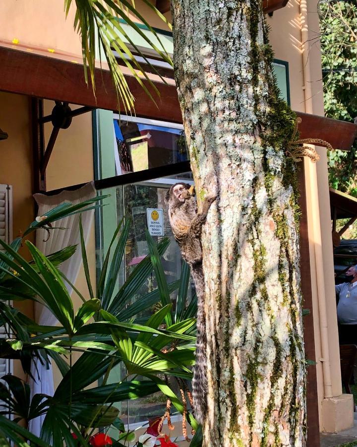 Pousada Pataca De Prata - Pousada De Epoca Petropolis  Bagian luar foto